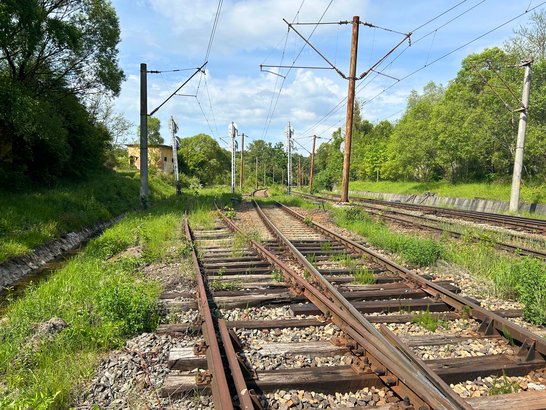 Sanierungsbedürftige Eisenbahnschienen und Strommastanalge umgehben von Wiesen und Bäumen